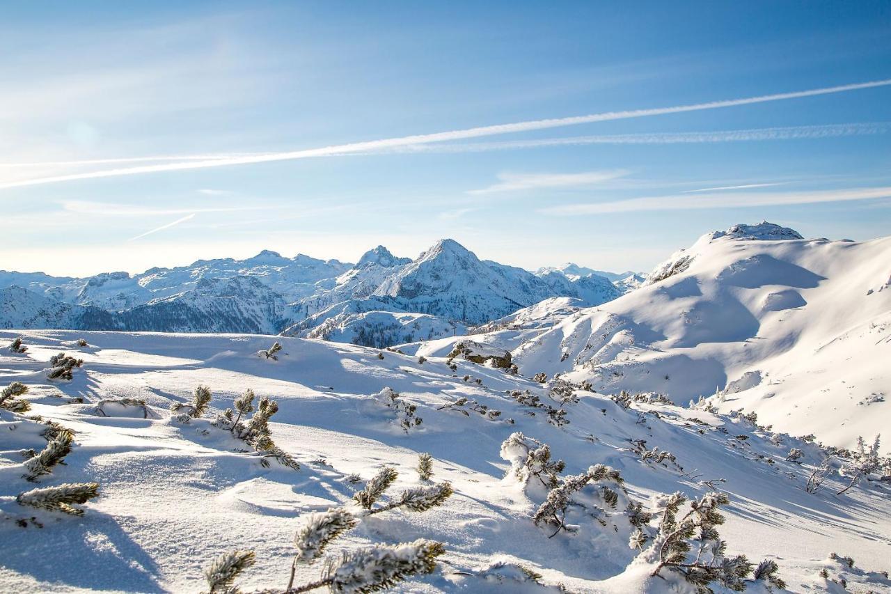 Natursinn Mountainchalets Флахау Экстерьер фото