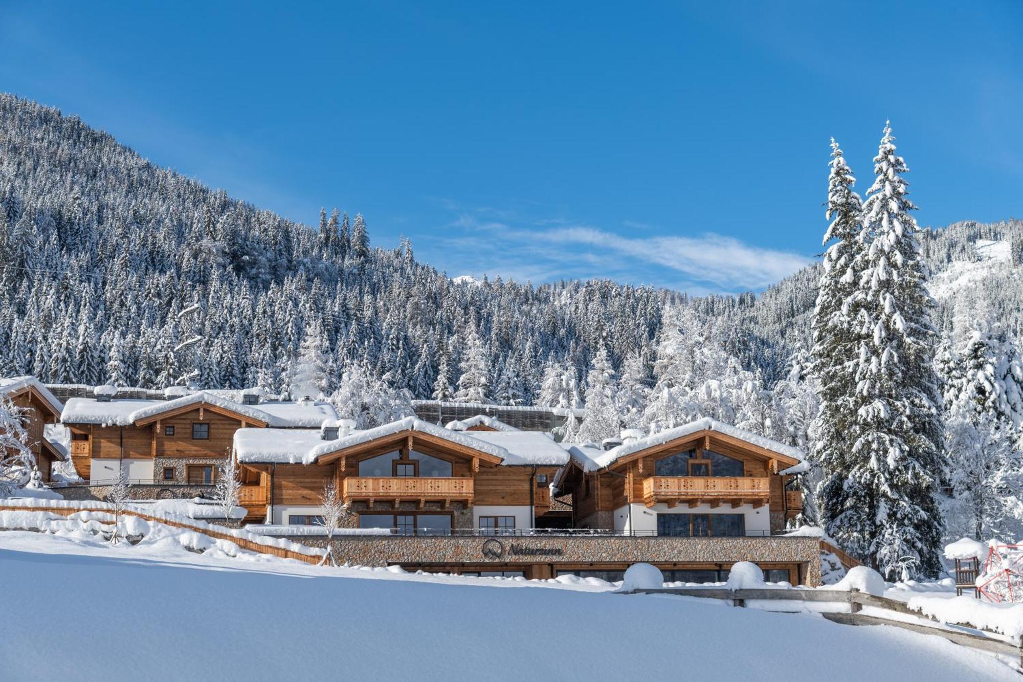 Natursinn Mountainchalets Флахау Экстерьер фото